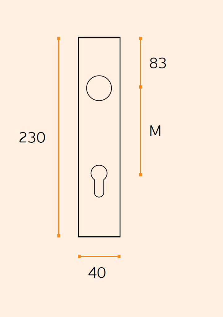 IN.03.008 Plate with spring for European cylinder (230x40mm)